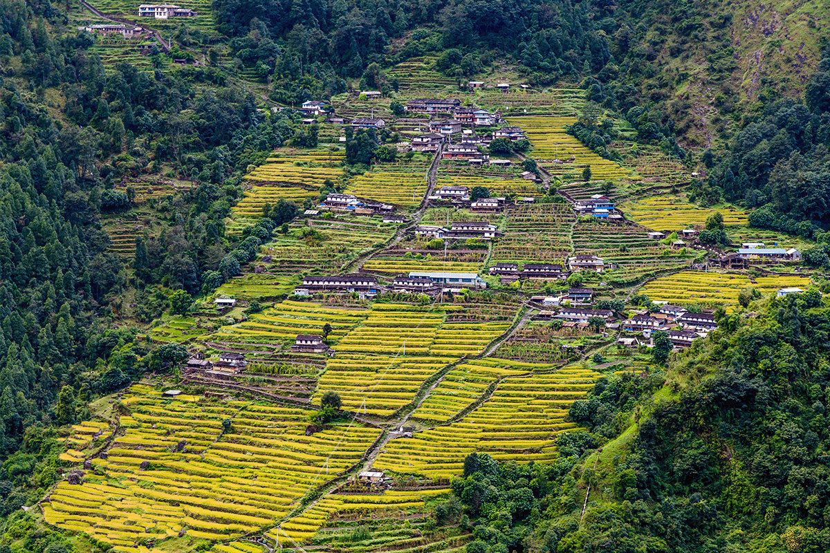 Nepal's Community Forestry Initiatives: A Successful Model To Combat ...